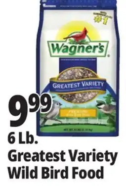 Ocean State Job Lot Wagner's Greatest Variety Deluxe Wild Bird Food 6 lbs offer