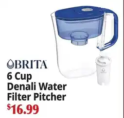 Ocean State Job Lot BRITA 6 Cup Denali Water Filter Pitcher offer