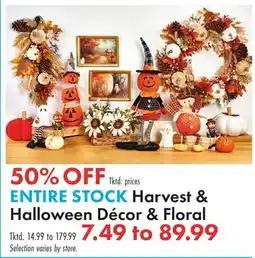 Boscov's ENTIRE STOCK Harvest & Halloween Décor & Floral offer
