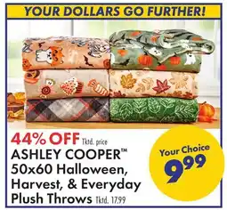 Boscov's ASHLEY COOPER 50x60 Halloween, Harvest, & Everyday Plush Throws offer