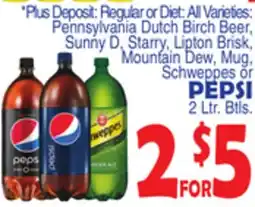 Bravo Supermarkets Pennsylvania Dutch Birch Beer, Sunny D, Starry, Lipton Brisk, Mountain Dew, Mug, Schweppes or PEPSI offer