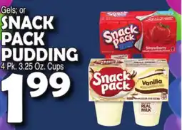 Bravo Supermarkets SNACK PACK PUDDING Gels offer