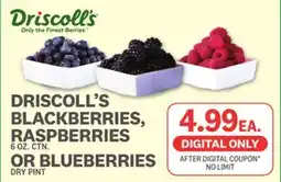 Kings Food Markets DRISCOLL'S BLACKBERRIES, RASPBERRIES 6 OZ. CTN. OR BLUEBERRIES DRY PINT offer