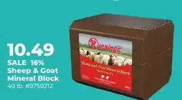 Runnings 16% Sheep & Goat Mineral Block offer