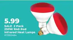 Runnings 2 Pack 250W R40 Red Infrared Heat Lamps offer