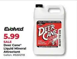 Runnings Deer Cane Liquid Mineral Attractant offer