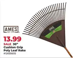 Runnings 30 Cushion Grip Poly Leaf Rake offer