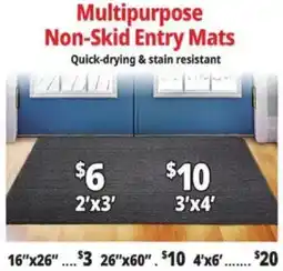 Ocean State Job Lot Multipurpose Non-Skid Entry Mats offer