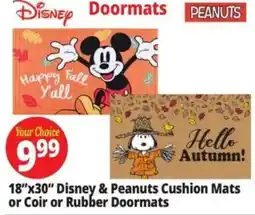 Ocean State Job Lot Disney & Peanuts Cushion Mats offer