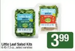 Shaw's Little Leaf Salad Kits offer