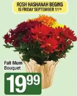 Shaw's Fall Mum Bouquet offer
