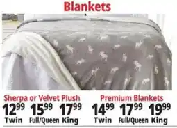 Ocean State Job Lot Sherpa or Velvet Plush Blankets offer
