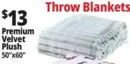 Ocean State Job Lot Throw Blankets offer