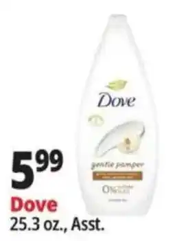 Ocean State Job Lot Dove gentle pamper offer