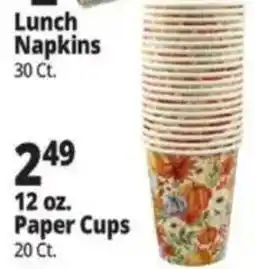 Ocean State Job Lot Lunch Napkins offer