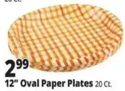 Ocean State Job Lot 12" Oval Paper Plates offer