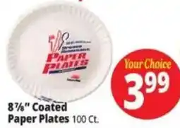 Ocean State Job Lot Paper Plates offer
