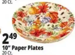 Ocean State Job Lot 10" Paper Plates offer