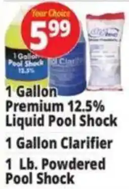 Ocean State Job Lot Your Choice Pool Shock and Clarifier offer