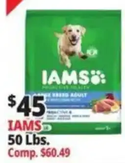 Ocean State Job Lot Iams adult dog food offer