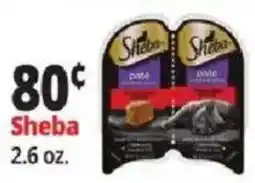 Ocean State Job Lot Sheba pate offer