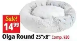 Ocean State Job Lot Olga Round offer