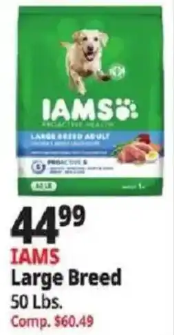 Ocean State Job Lot Iams Large Breed offer