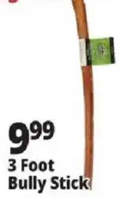 Ocean State Job Lot Bully Stick offer