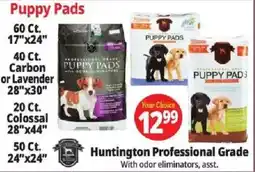 Ocean State Job Lot Huntington Professional Grade Puppy Pads offer