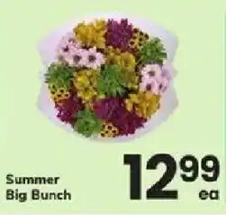 ACME Summer Big Bunch offer
