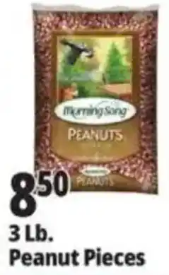 Ocean State Job Lot Morning Song peanuts offer