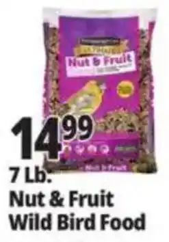Ocean State Job Lot Nut & Fruit Wild Bird Food offer