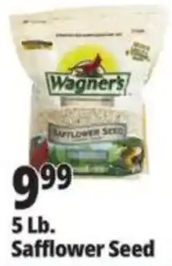 Ocean State Job Lot Wagner's Safflower Seed offer