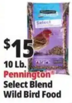 Ocean State Job Lot Pennington Select Blend Wild Bird Food offer