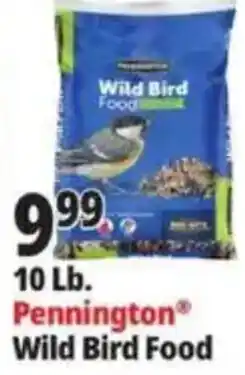 Ocean State Job Lot Pennington Wild Bird Food offer