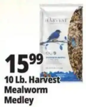 Ocean State Job Lot Harvest Mealworm Medley offer