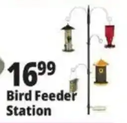 Ocean State Job Lot Bird Feeder Station offer