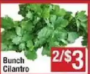 Shaw's Bunch Cilantro offer