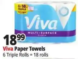 Ocean State Job Lot Viva Paper Towels offer