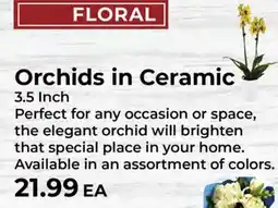 Sunset Foods Orchids in Ceramic offer