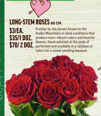 Central Market Long-Stem Roses offer