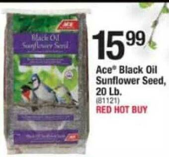 Ace Hardware Ace® Black Oil Sunflower Seed 20 Lb. offer
