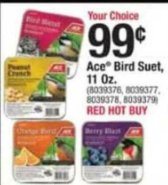 Ace Hardware Ace® Bird Suet 11 Oz. offer
