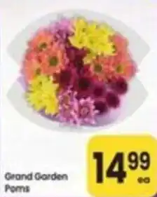 Safeway Grand Garden Poms offer
