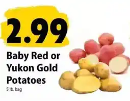 Festival Foods Baby Red or Yukon Gold Potatoes offer