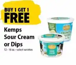 Festival Foods Kemps Sour Cream or Dips offer