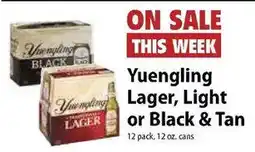 Festival Foods Yuengling Lager, Light or Black & Tan offer