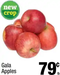 Super King Markets Gala Apples offer