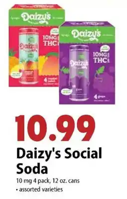 Festival Foods Daizy's Social Soda offer