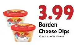 Festival Foods Borden Cheese Dips offer